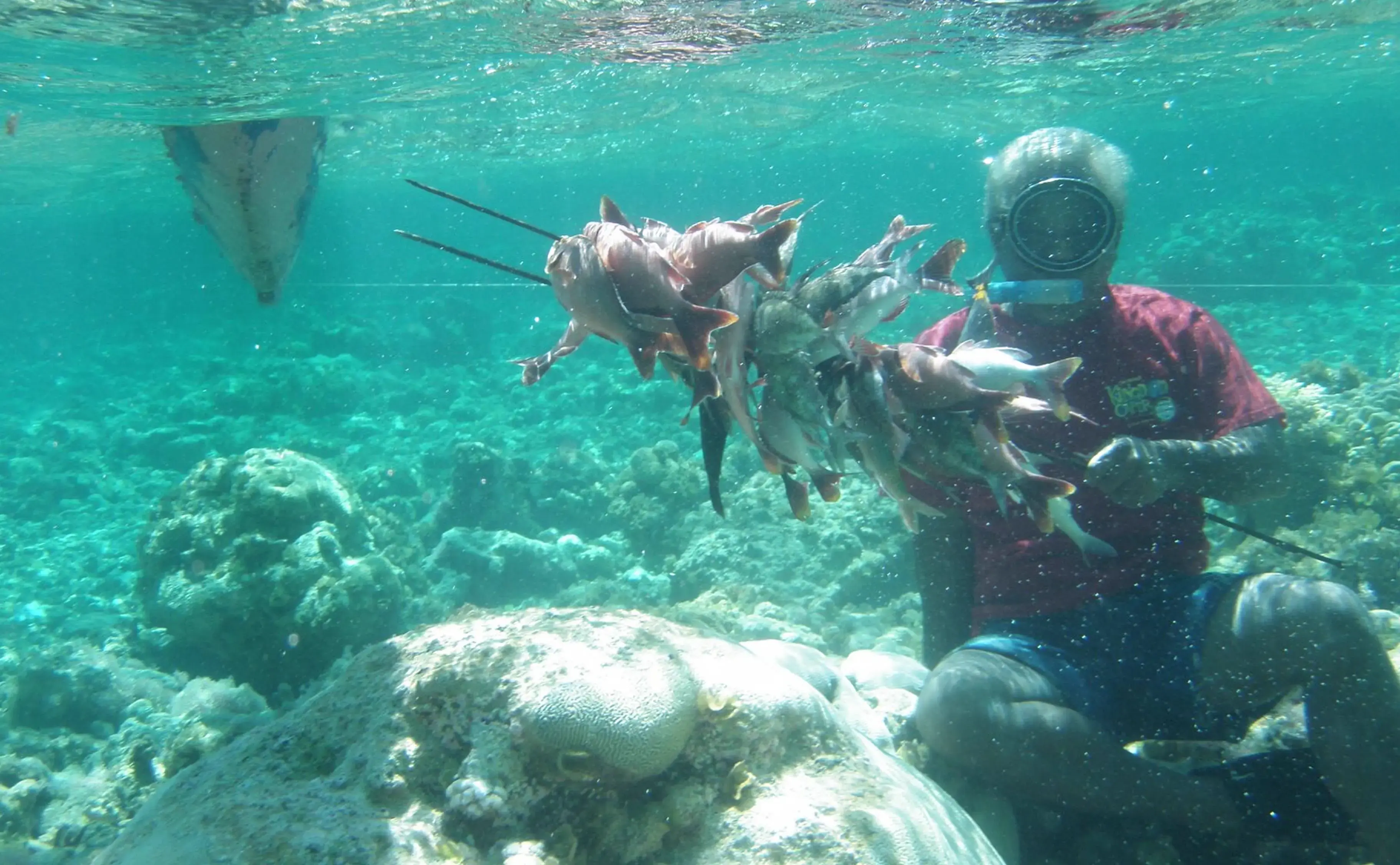 Spearfisher underwater holding a large stringer of freshly caught reef fish.