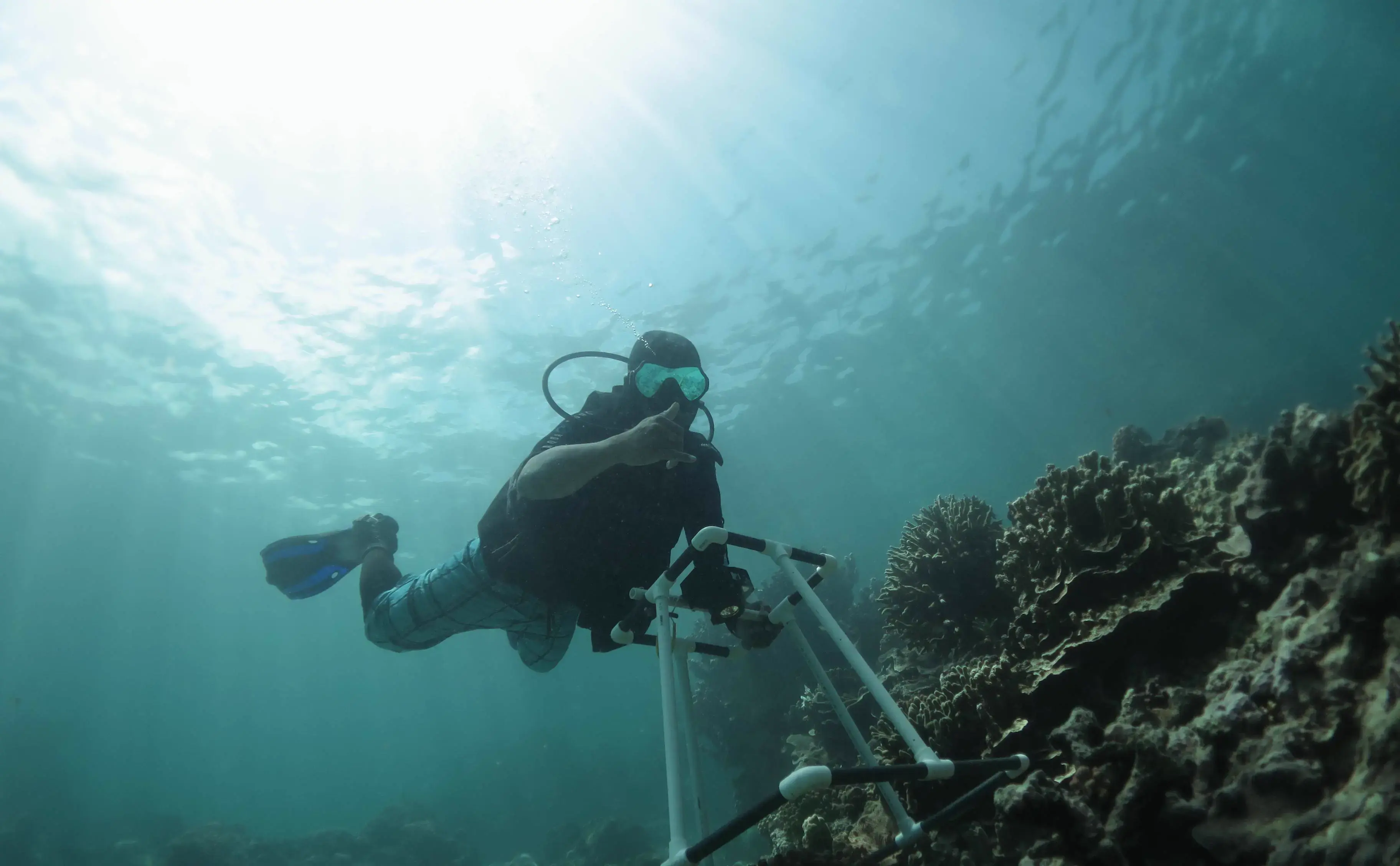 A scuba diver giving a thumbs up while navigating a coral reef survey tool.