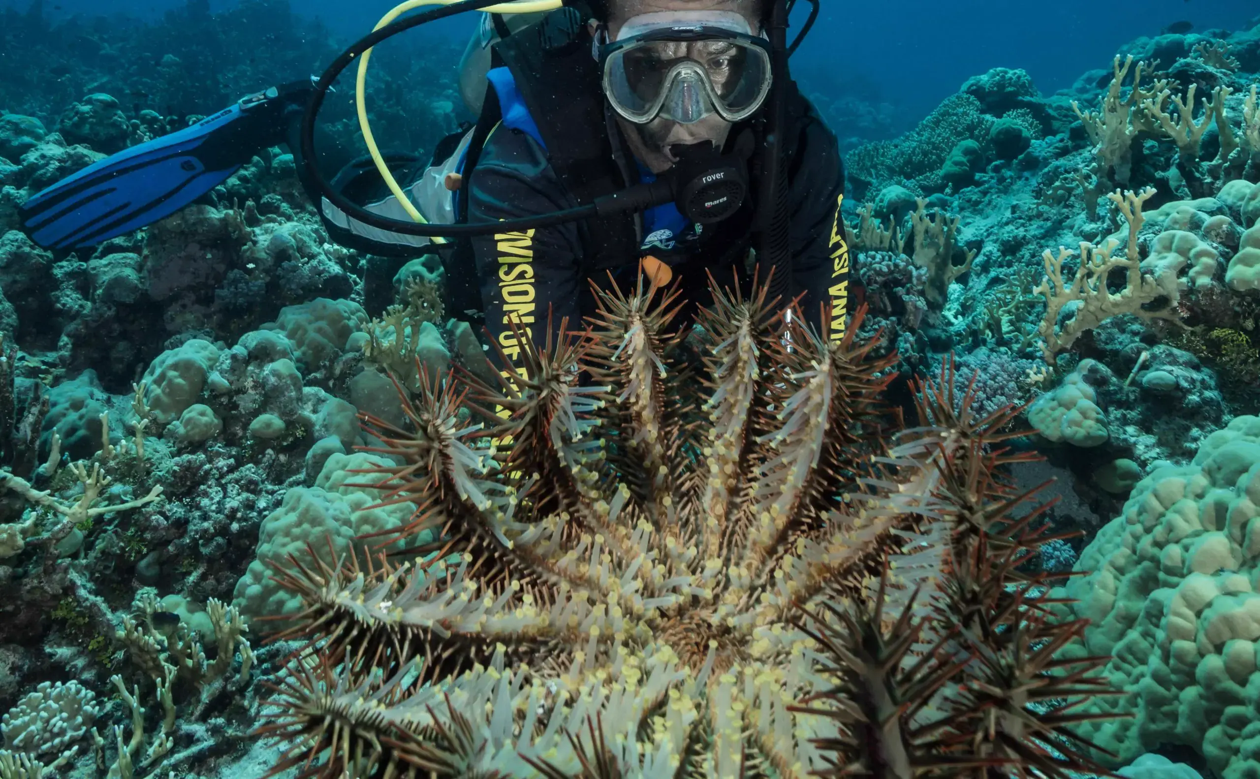Coral reef quadrat sampling.