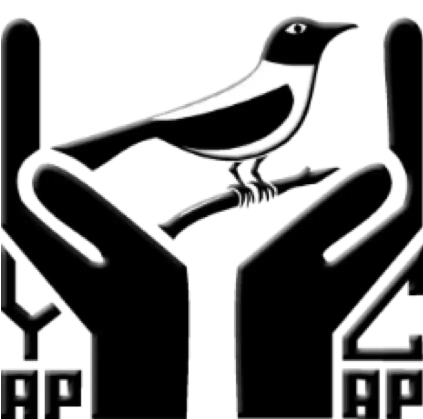 Yap Community Action Program