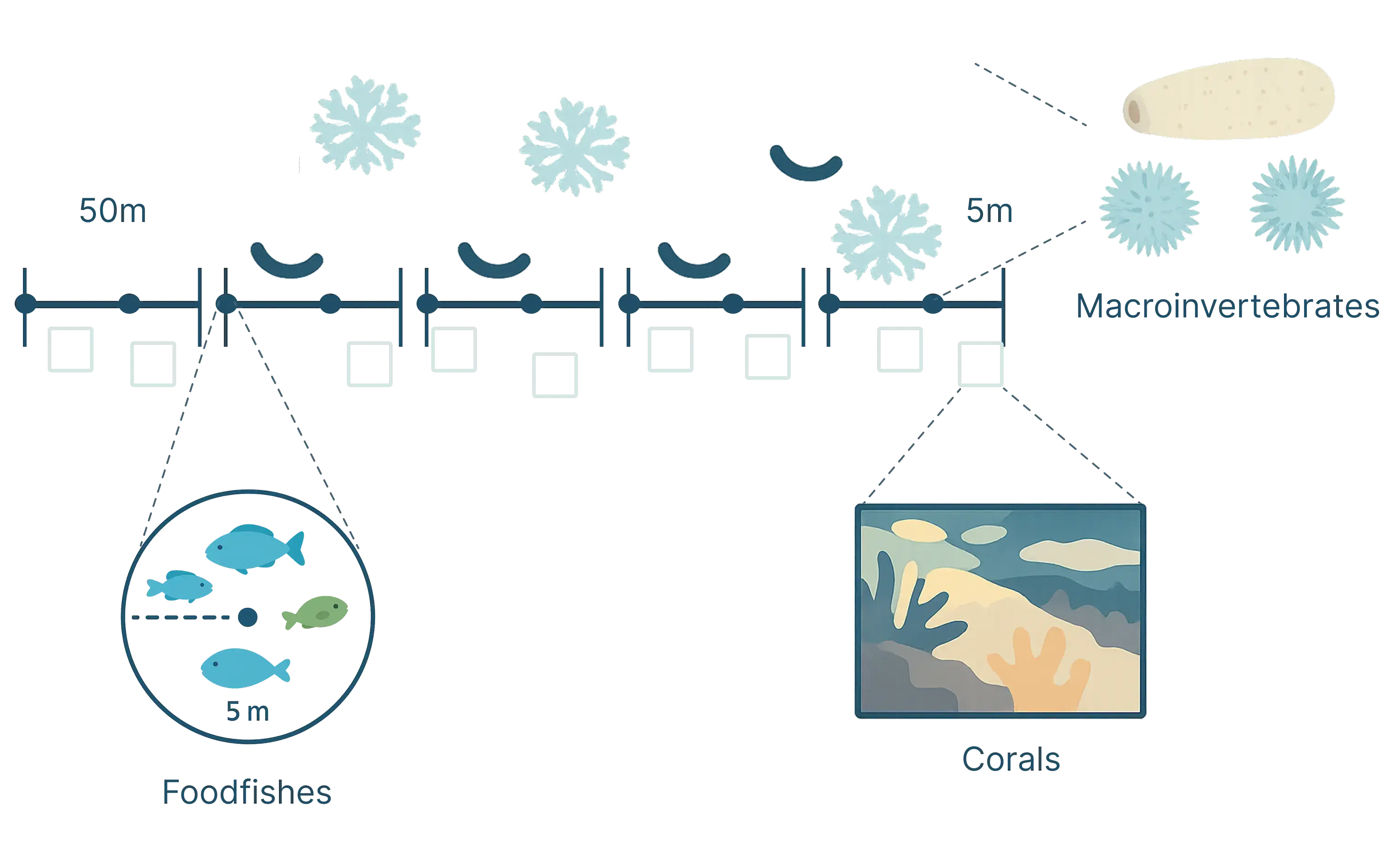 Monitoring Program Methodology